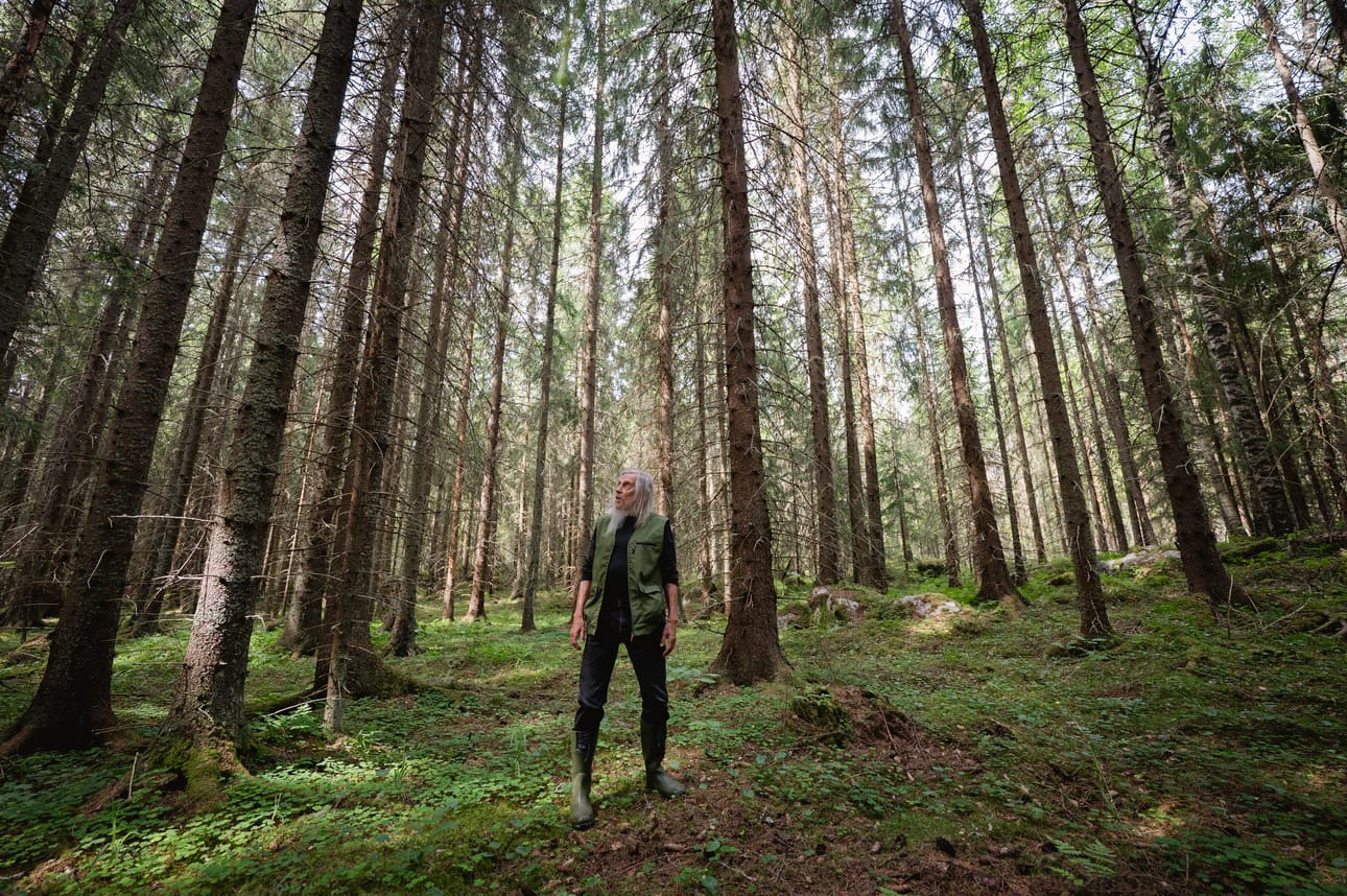 Koskaan ei ole luonnossa pelottanut. – Päinvastoin, kaupungissa on joskus voinut pelottaa.