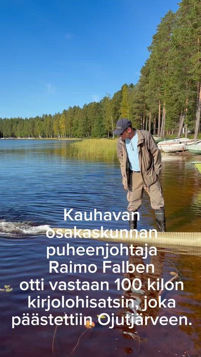 Ojutjärveen istutettiin 100 kiloa kirjolohta