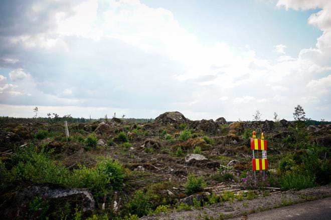 Laajametsän alueella Vaasassa muokataan maaperää akkuteollisuudelle. ARKISTOKUVA: SAMPPA TOIVONEN