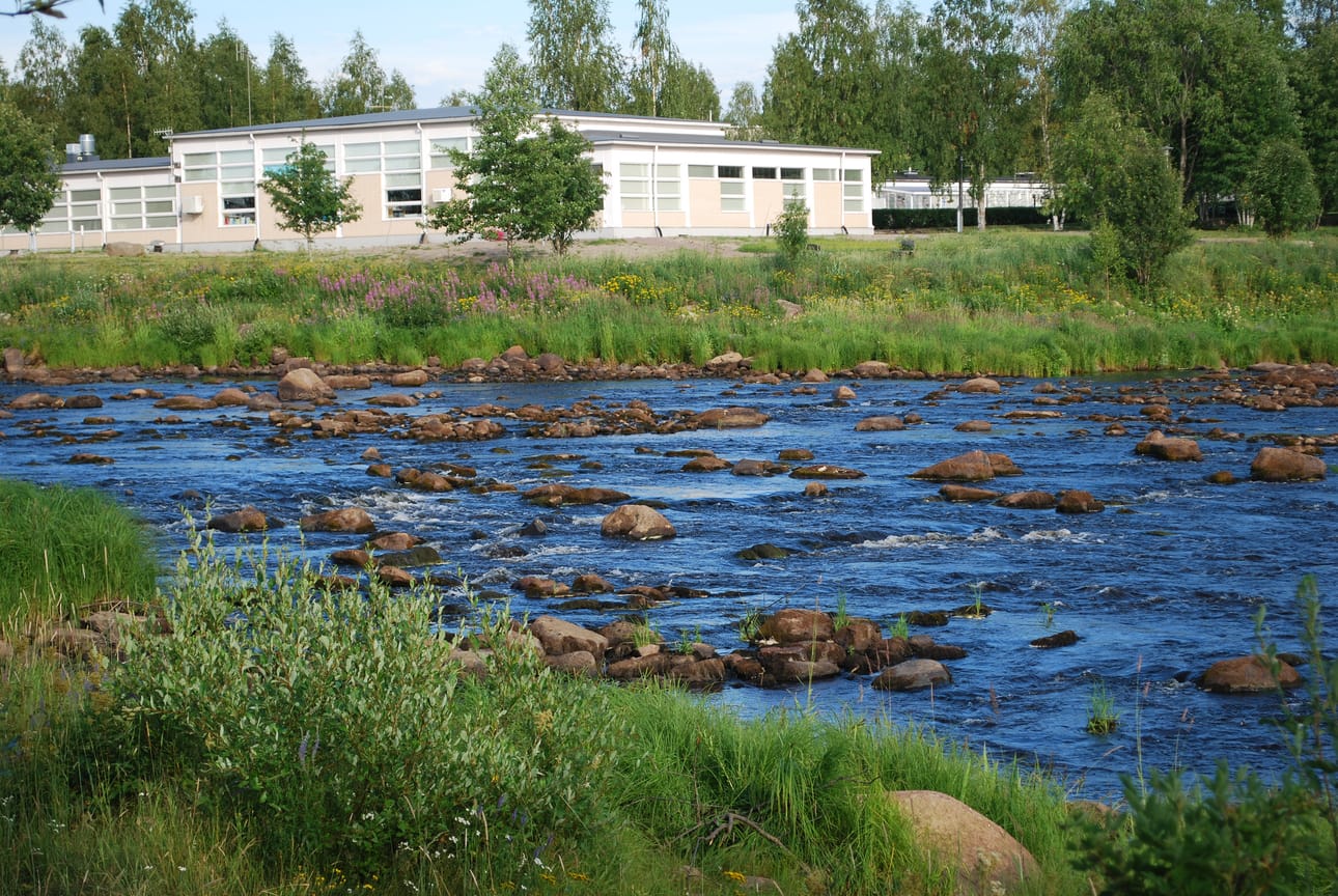 Joki eri vuodenaikoina on ikuistunut monen kuntalaisen kameraan. Kuvia Pyhäjoki-aiheiseen aineistokeräykseen tuli useita kymmeniä, samoin tekstejä on toimikunnan läpikäytäväksi laidasta laitaan.