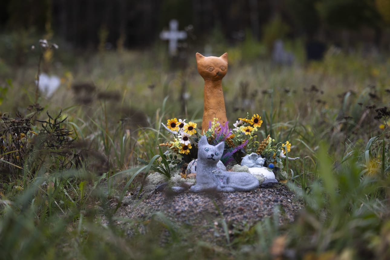 Seinäjoen kaupunki on ylläpitänyt lemmikkieläinten hautausmaata yli 30 vuoden ajan. Haudoille tuodut muistoesineet vaikeuttavat alueen kunnossapitoa.