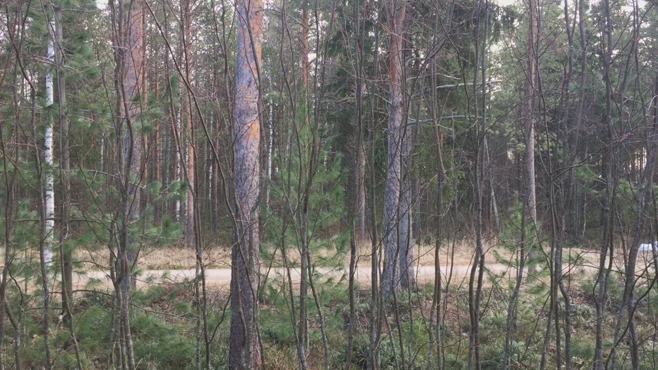 Sunnuntain aamukonsertti