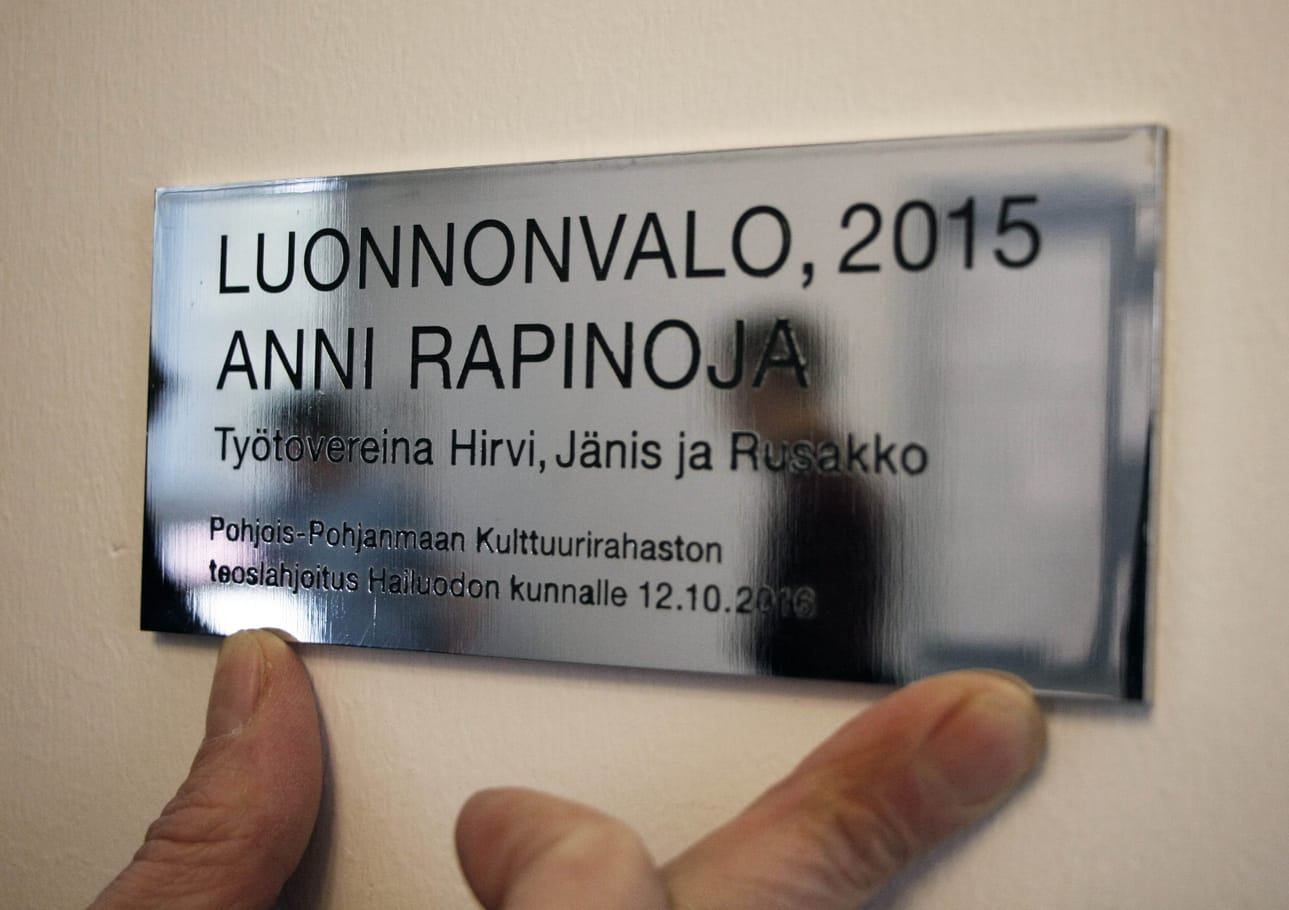 Hirvi, jänis ja rusakko ovat olleet Anni Rapinojan työskentelykavereita.