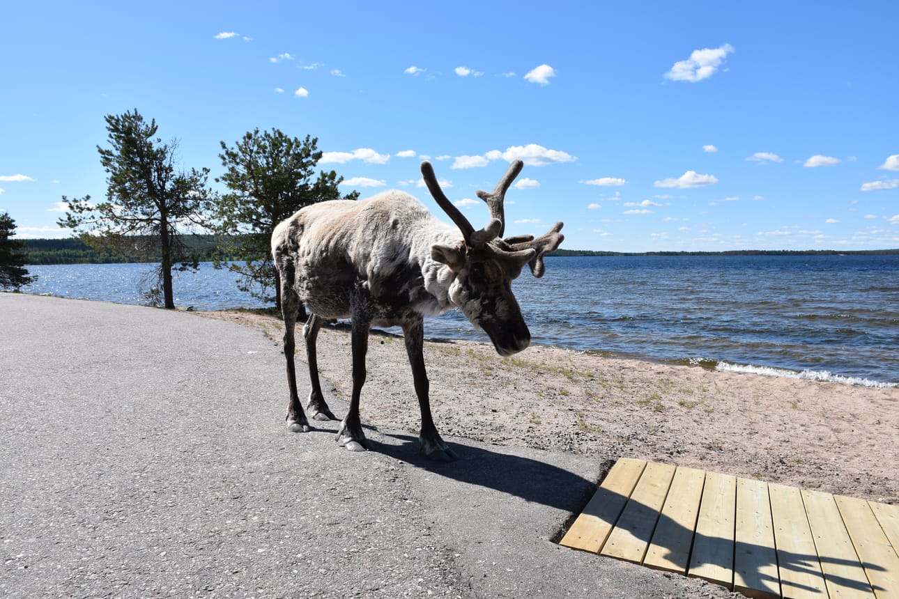 Tässä tapauksessa kuut saavat olosuhteisiin nähden mahdollisimman paljon valoa eli kyseessä eivät ole pimeät kuut. Kuvituskuva.