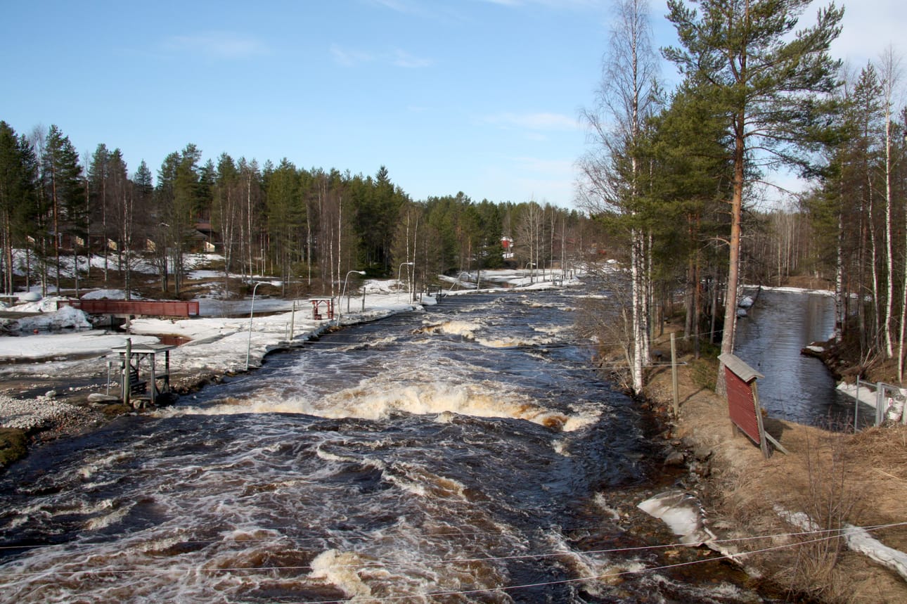 Taivalkoskella vesi mahtuu ainakin toistaiseksi virtaamaan uomassaan.