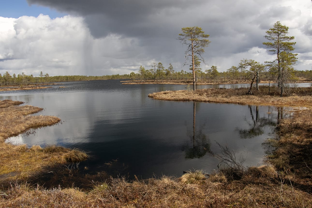 Suon tarina -elokuvan kuvauksia tehtiin esimerkiksi Kauhanevalla. Matkailijoita varten sinne on tehty erityinen polku, Kauhalammin kierros, joka kiertää ison vesialueen.