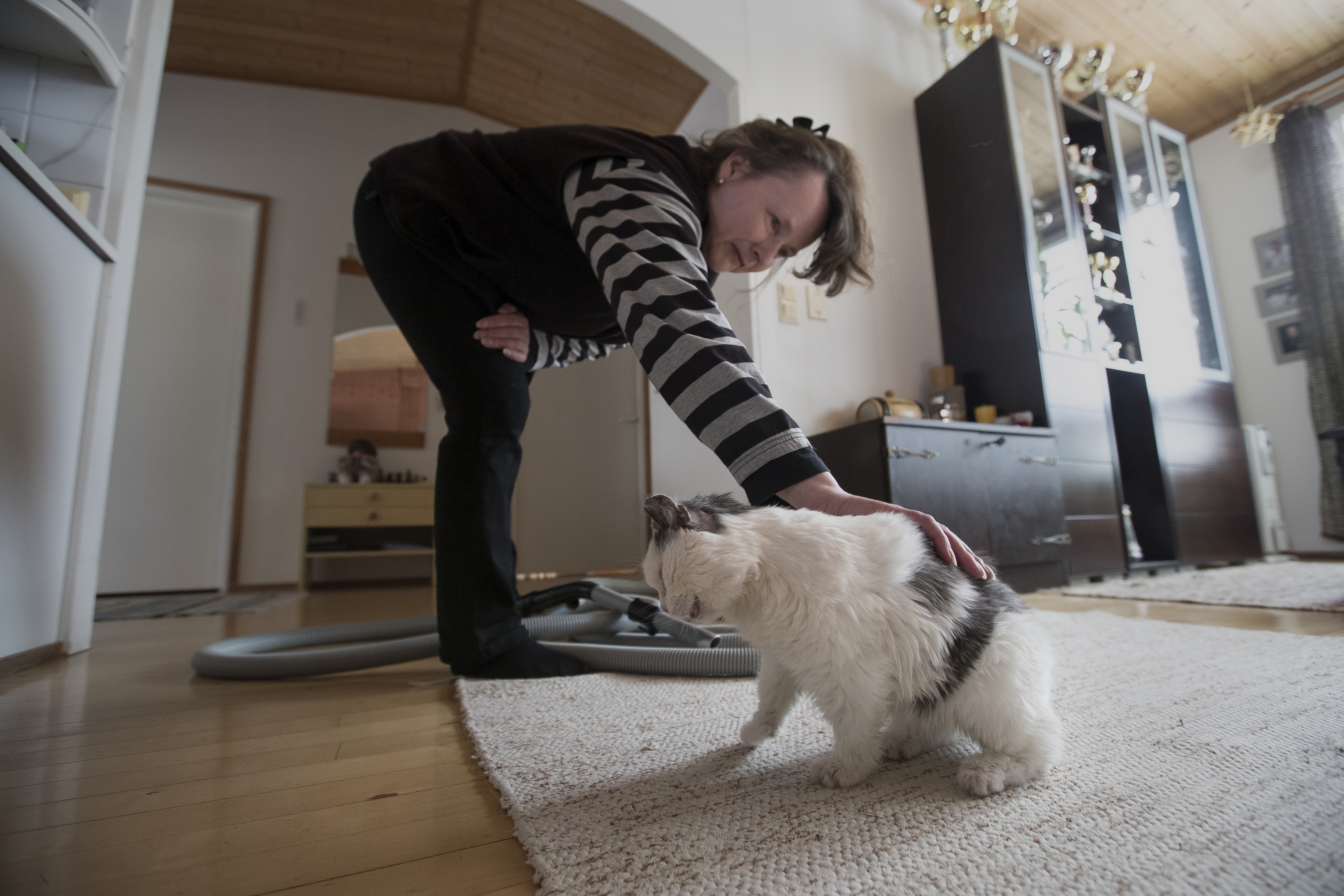 Harmi tulee mielellään imuroitavaksi.