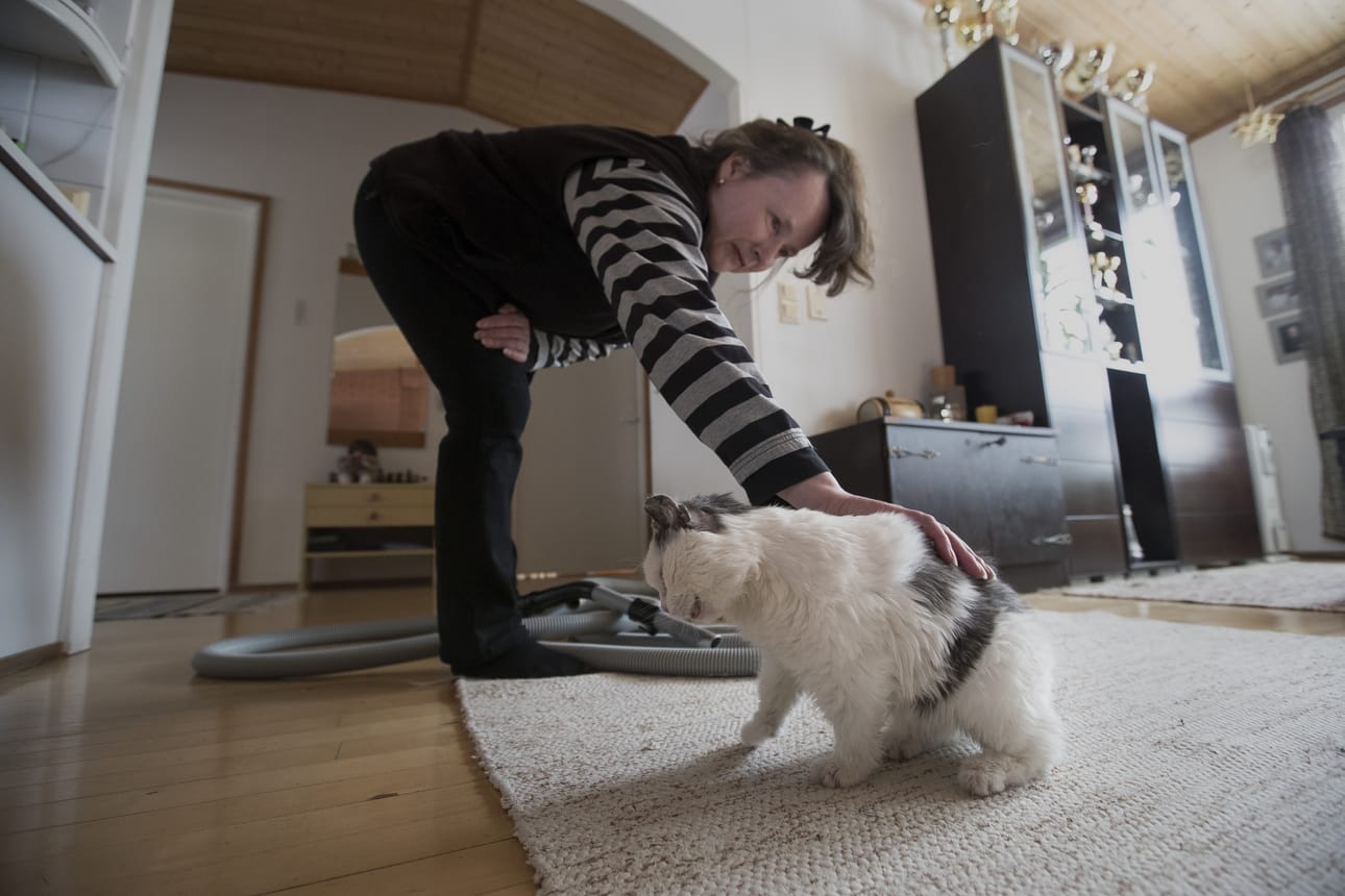 Harmi tulee mielellään imuroitavaksi.
