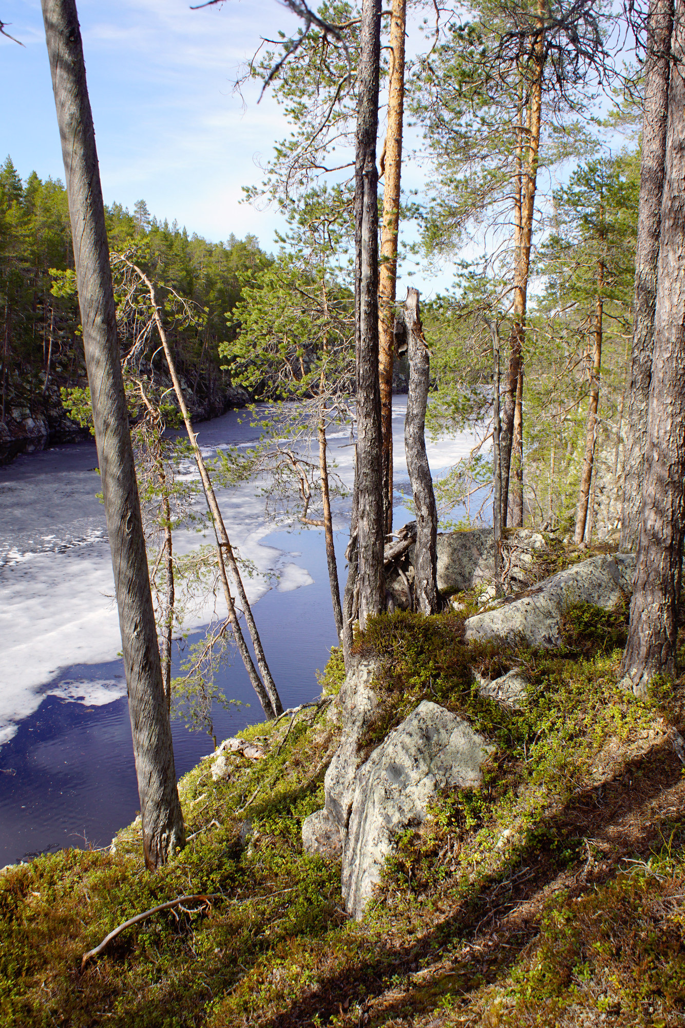 Kalliorotkossa sijaitseva Kaunislampi pitää jäänsä selvästi lähiseudun muita vesistöjä pitempään. 