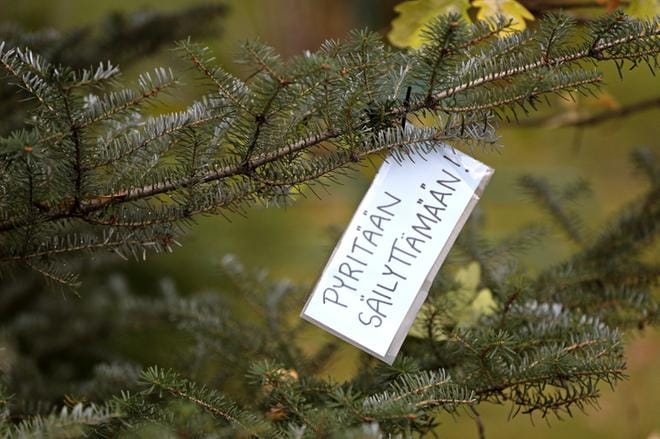 Kevyen liikenteen väylän rakentaminen aiheutti vilkkaan julkisen keskustelun, koska sen takia Joupinrajan ja tonttien välistä kasvillisuutta jouduttiin poistamaan. Arkistokuva: Kari Löfhjelm