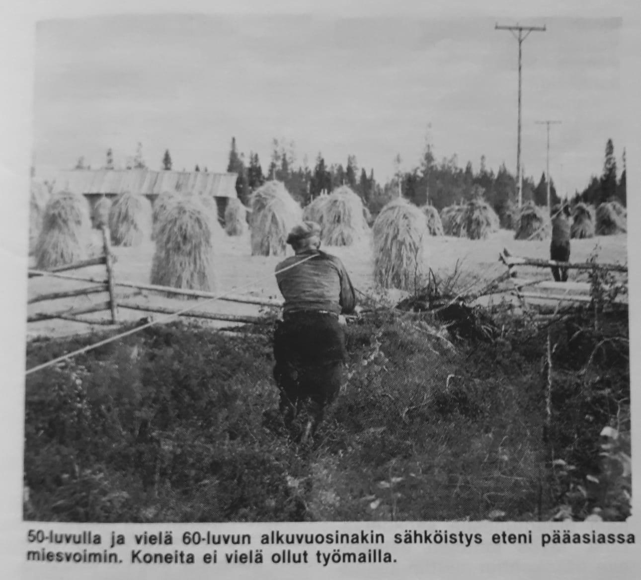 Kuvassa johtimen vetoa. Alkuperäisessä kuvatekstissä kerrotaan: 50-luvulla ja vielä 60-luvun alkuvuosinakin sähköistys eteni pääasiassa miesvoimin. Koneita ei vielä ollut työmaalla.