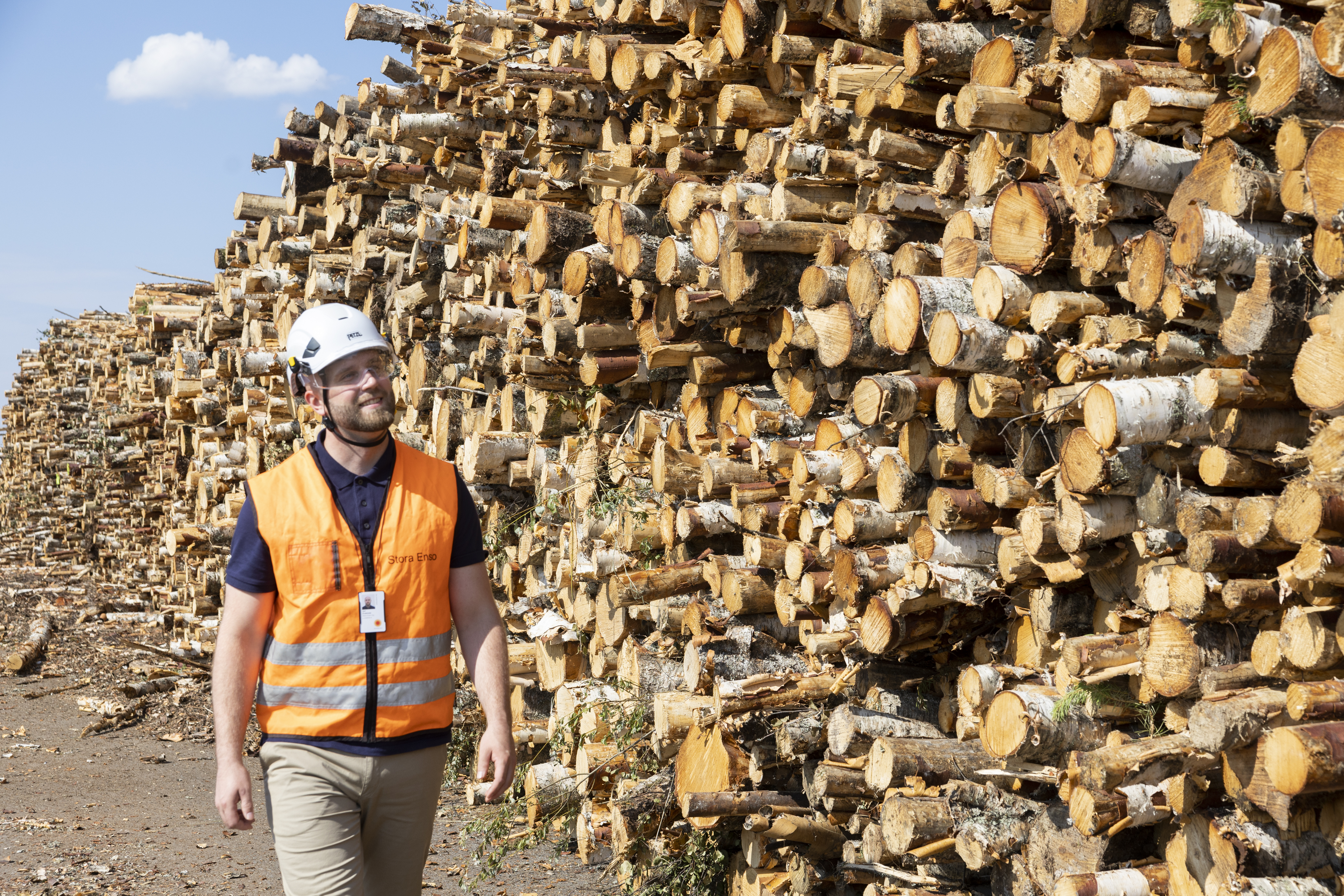 - Wood procurement for the new mill in Oulu has now started. Jyri änäkkälä, Regional Director of Stora Enso metsä, says that the wood being procured now is for the new mill, which is about to start up.