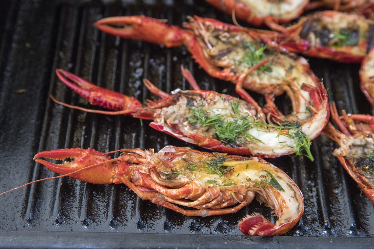 Kes‰-Kaleva: merenel‰vien grillausta