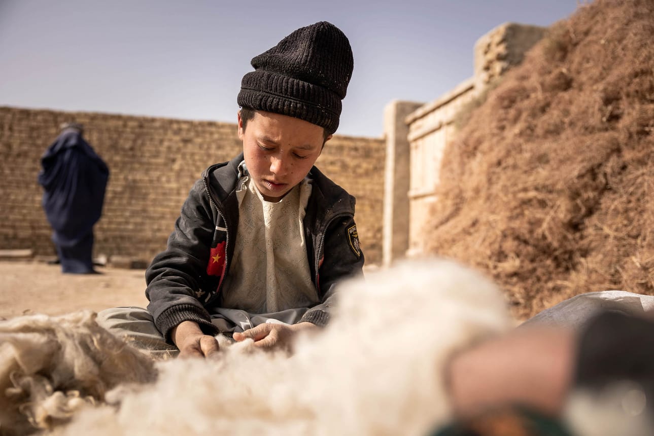 9-vuotias Abdul käsittelee lampaan villaa mattojen kutomista varten Faryabin provinssissa, Afganistanissa.