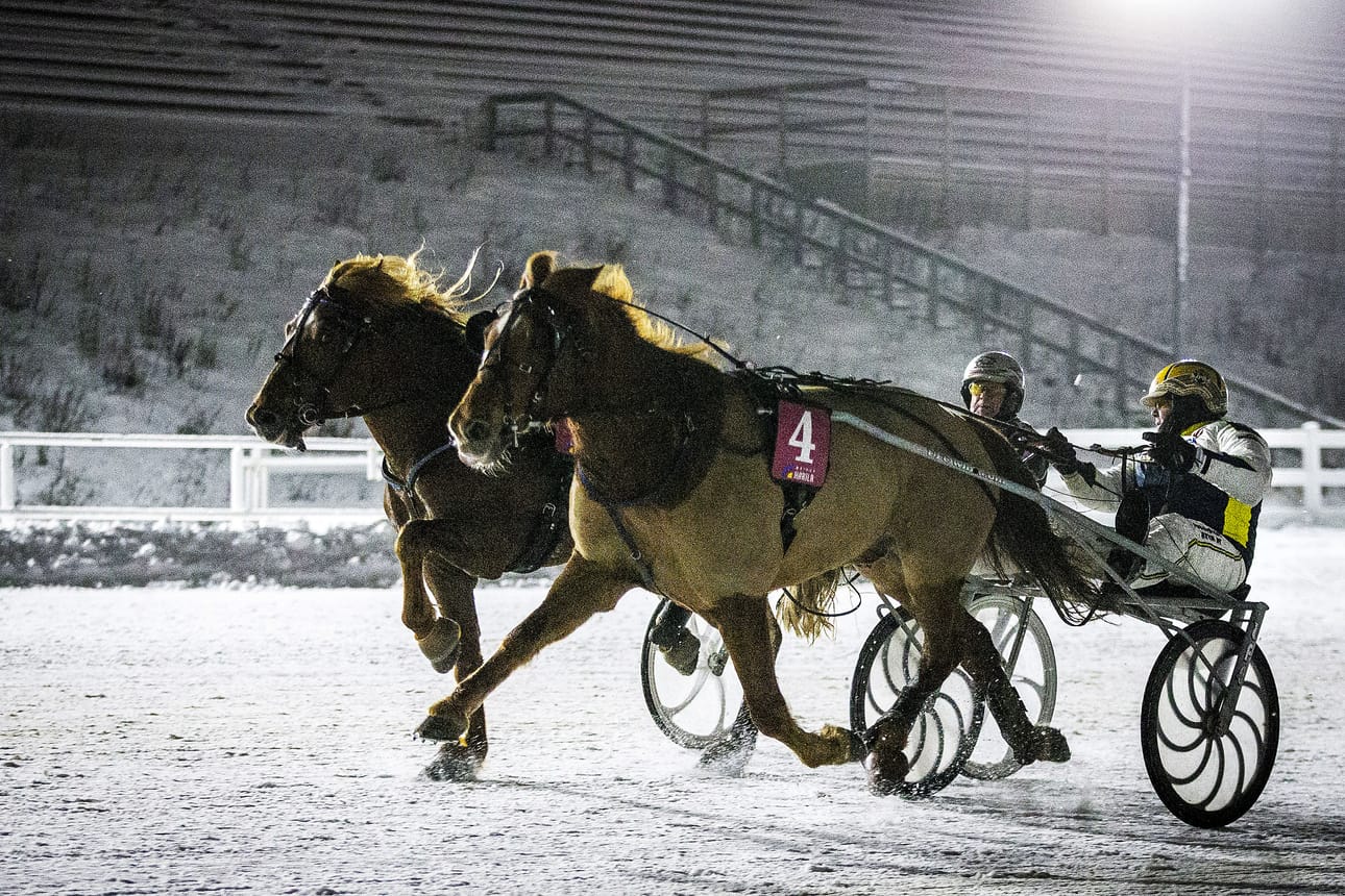 Maaliin Mandan Mainio sujutteli kuudentena ajalla 29,0, jäämällä ilman rahasijaa. Kuvituskuva.