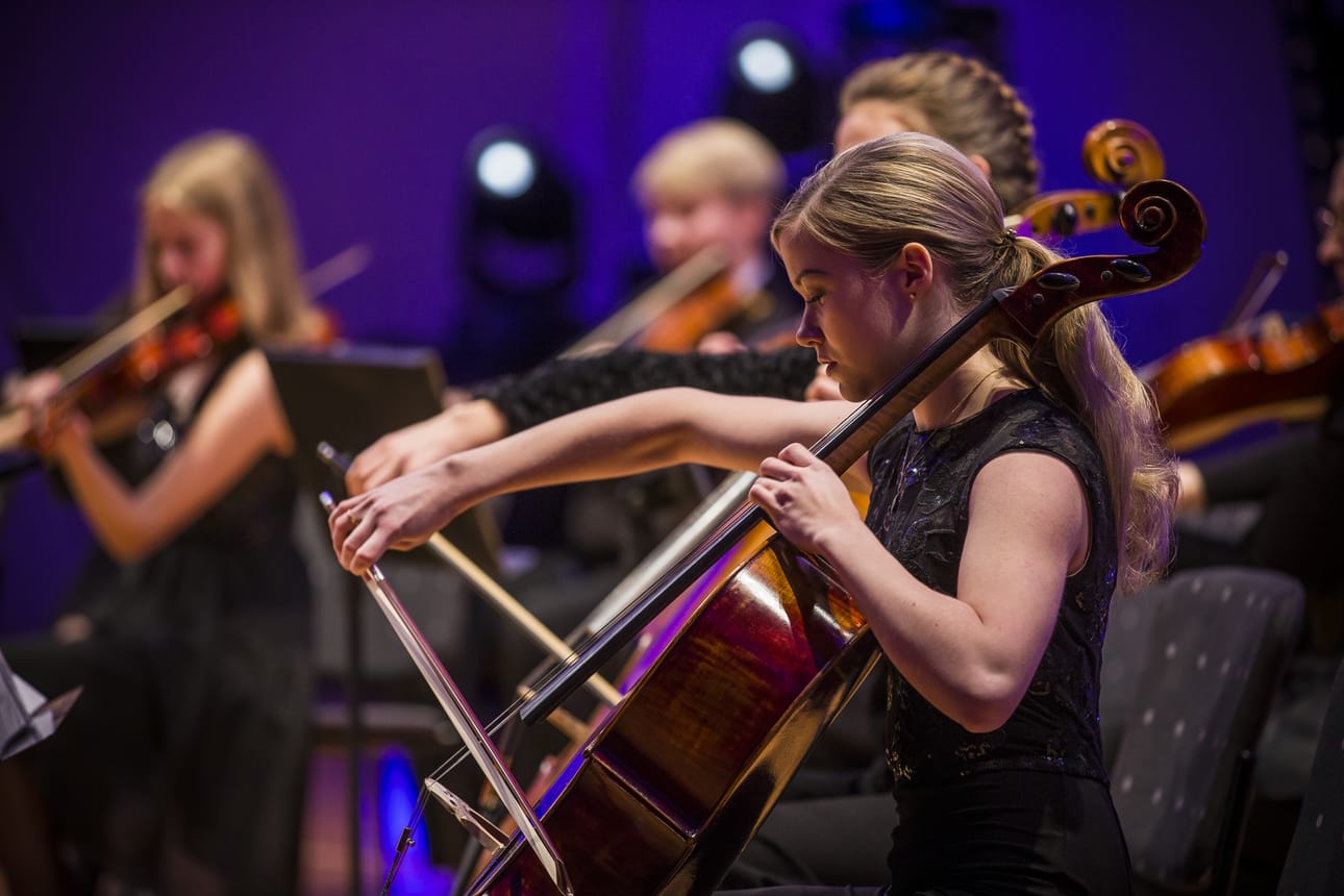 Raahe Sinfonietta vastasi juhlan musiikista.