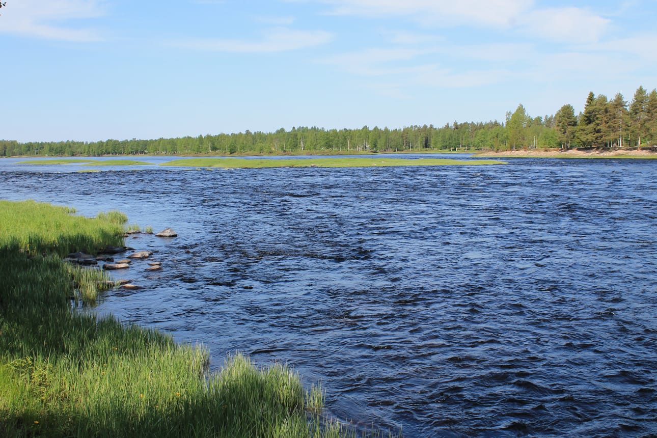 Kurenkoski helteessä.