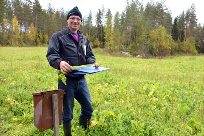 Timo Harju vinkkaa, että nauriit voi valmistaa keittämällä samassa vedessä uusien perunoiden kanssa. Jokaisen nauriita hakevan toivotaan kirjaavan etunimensä pellon laidan postilaatikosta löytyvään kansioon. KUVA: MIINA HAKALA