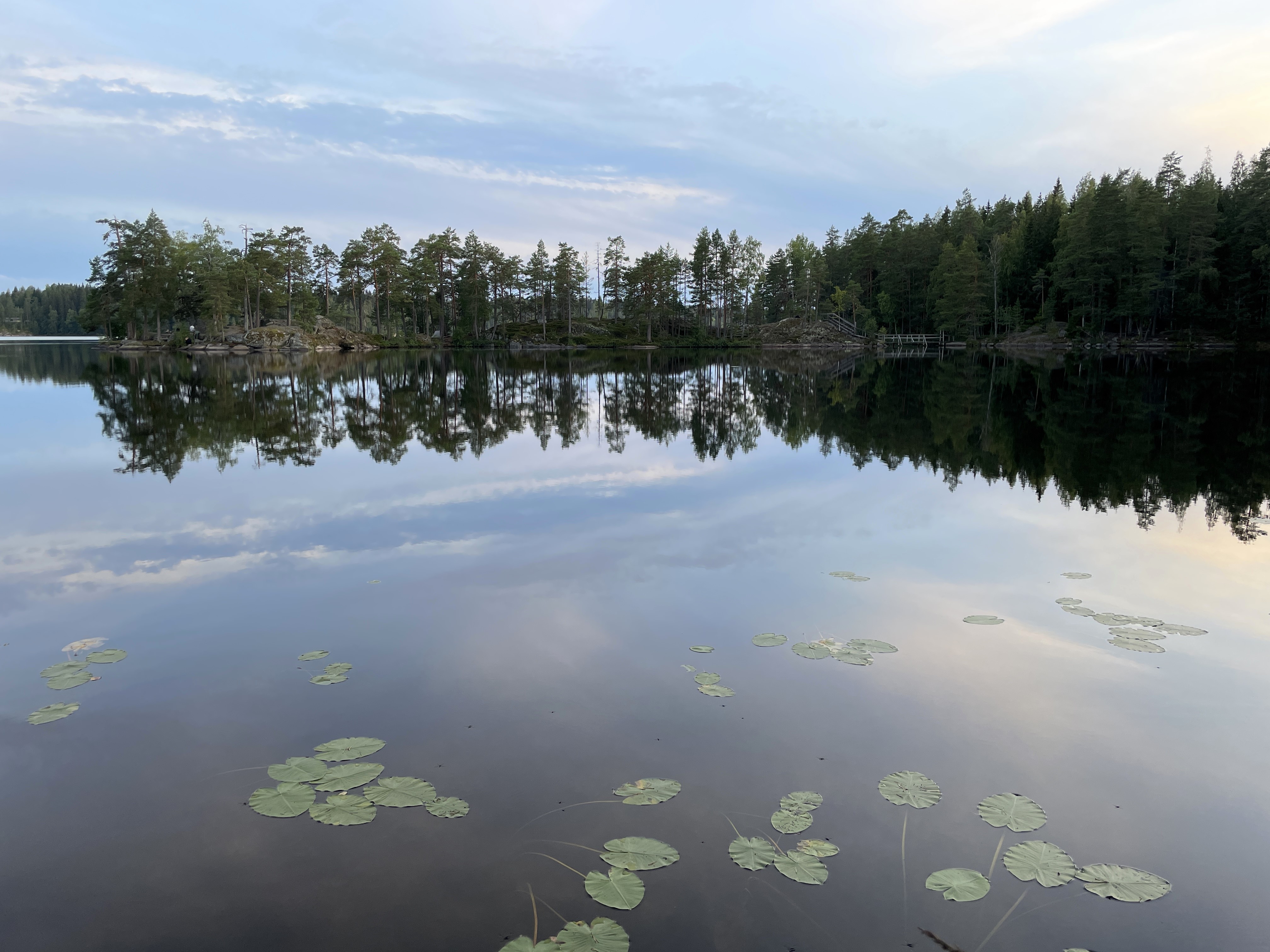Pukalan alueella on runsaasti jyrkkäpiirteisiä kallioita, mutta varsinainen lappimaisuus on kallioisten saarten täplittämä Pukalajärvi.