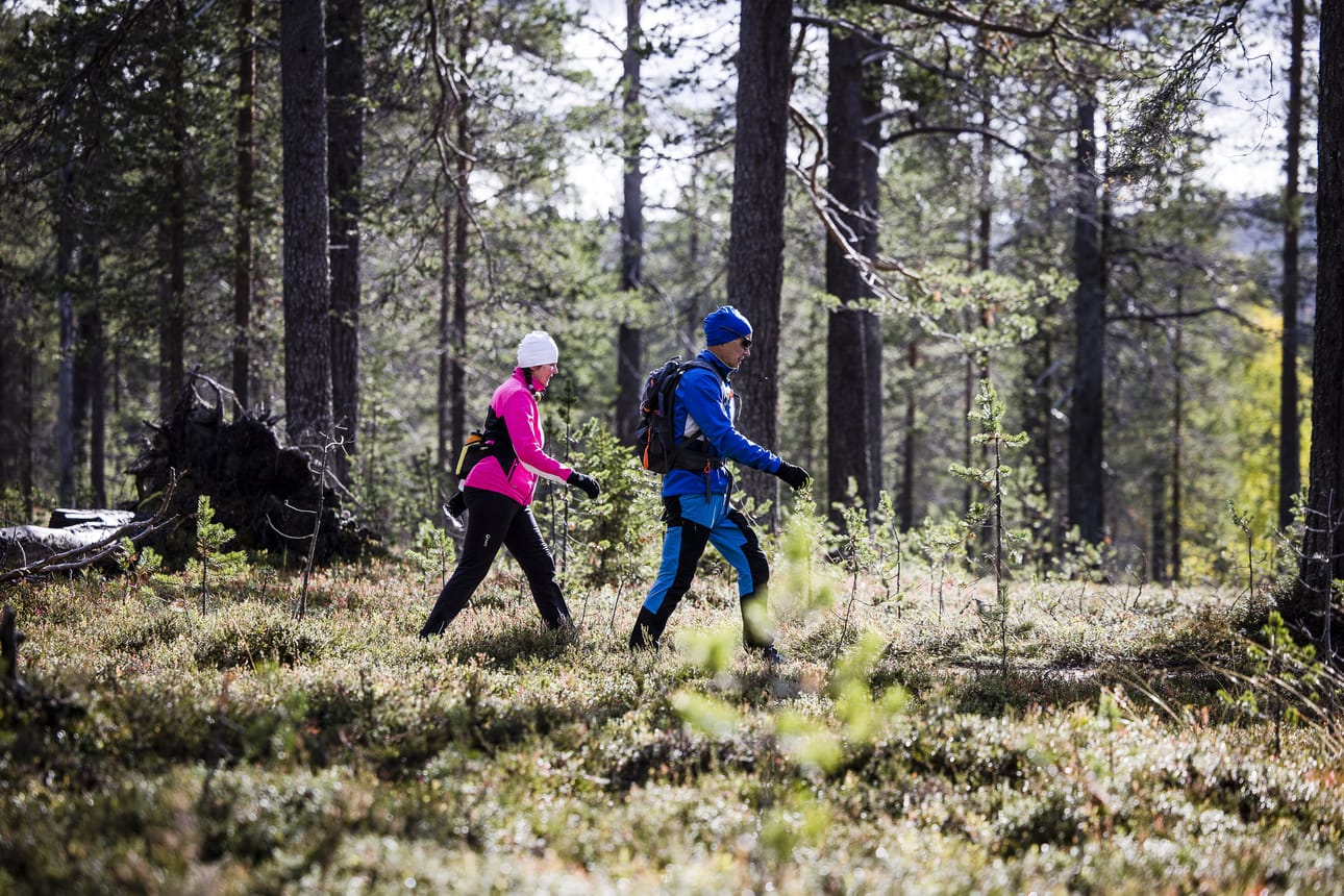 Pohjois-Pohjanmaan Yrittäjien toimitusjohtaja Marjo Kolehmainen kertoo, että yritysten kasvun esteenä on lähes 40 prosentilla yrittäjän oma jaksaminen. Yrittäjät voivat tukea hyvinvointiaan esimerkiksi liikunnan avulla.