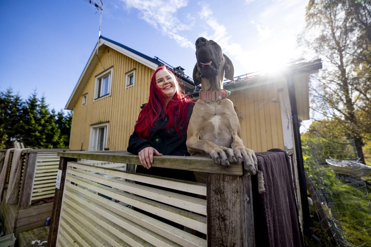 Kun Anne Seppälää kysyttiin ohjelman kuvauksiin, hän mietti aluksi voiko osallistua, koska on niin kova suustaan. Tanskandoggi Fiini on kuvausten jälkeen kasvanut pennusta 50 kiloiseksi.
