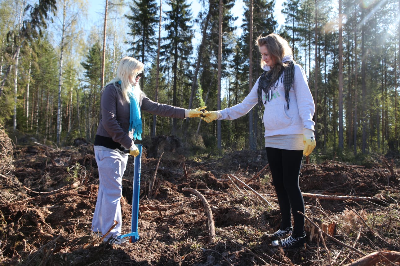 KahdeksasluokkalaisetLola Aaltokoski (vas.) ja Matilda Karvonen istuttivat puita Pyhäjärvellä.