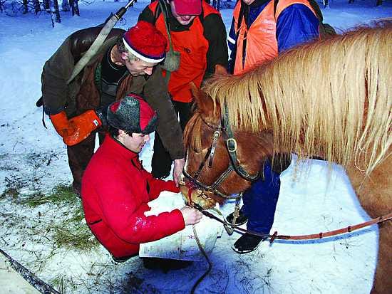Kuuluuko? "Nämä ovat tulossa sinne päin", Jouko Iivari viestittää liikkeellä olevista hirvistä passissa olijoille.