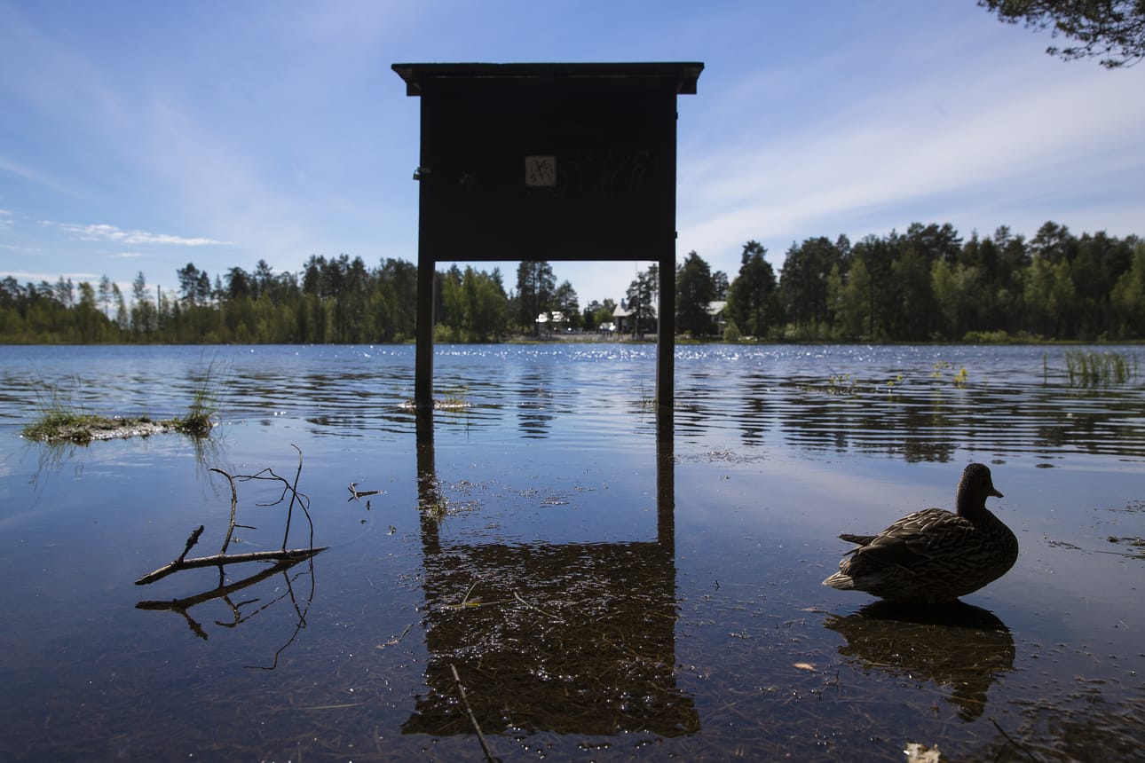 Lämsänjärven pinta on tällä hetkellä uimareille vaarallisen korkealla.