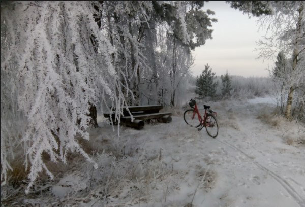 Pyöräretkellä Saarikosken Hoikanrannantiellä.