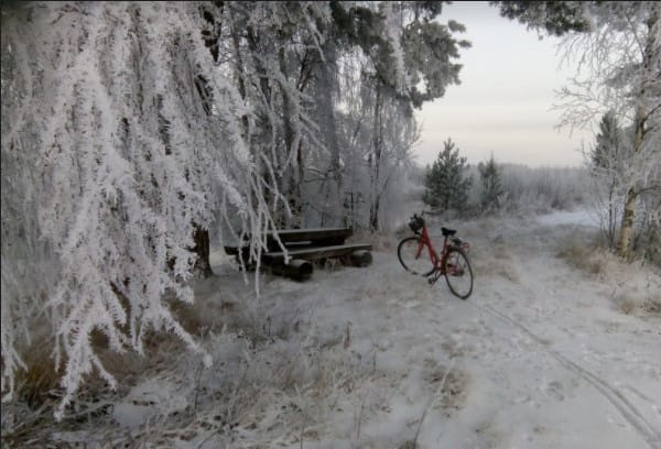 Pyöräretkellä Saarikosken Hoikanrannantiellä.