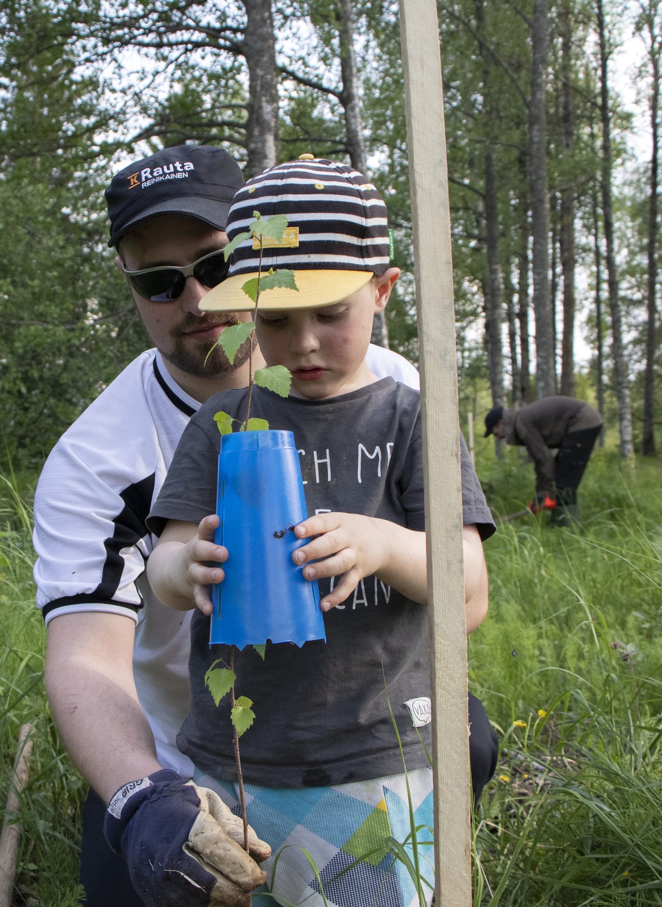 Kalle Myllylä pääsi isänsä Hannun kanssa istuttamaan koivuntaimia Pappilanniemeen. Taustalla Jukka Haaraniemi katsomassa seuraavan istutustaimen paikkaa.