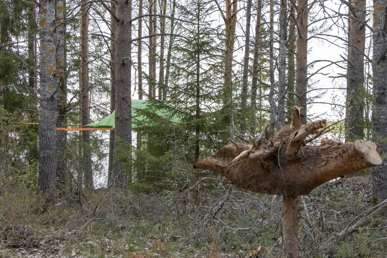 Osuuskunta Kotasaaren väki tekee parhaansa, että saari palvelisi rauhaa, luontoa sekä myös toimeliaisuutta kaipaavia kävijöitään. Puitten läpi siintävä tentsile tarjoaa yösijan kolmelle.