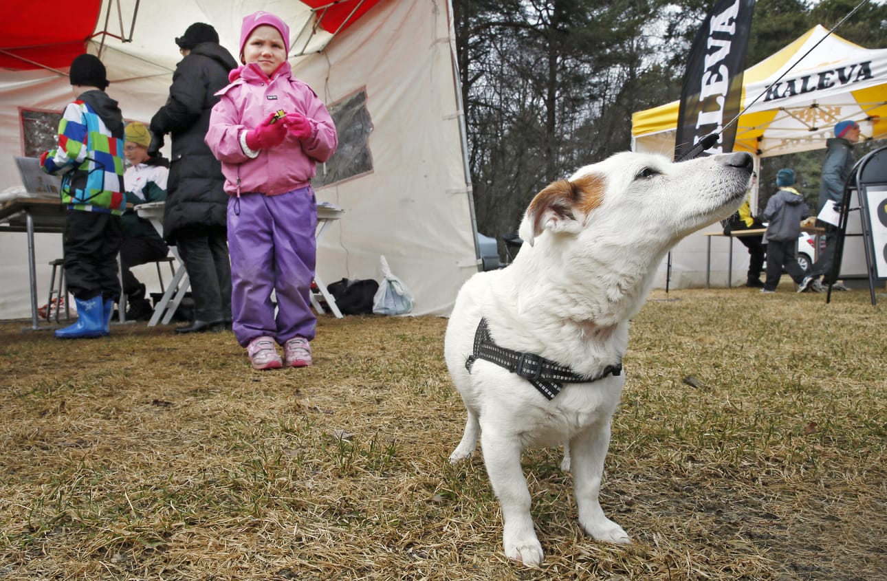 Suunnistustapahtuma keräsi paikalle kaikenlaisia osallistujia.