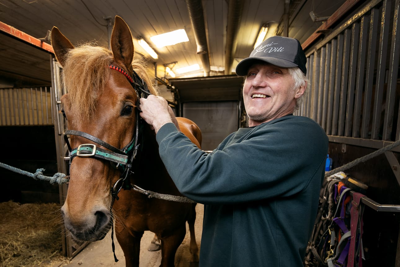 – Mukavaa hommaahan tämä on. Niin kauan ajattelin jatkaa, kun vain rahat riittävät, toteaa hevosia valmentava Arto Laurukainen vierellään nuori lupaus, suomenhevonen Meno-Antti.