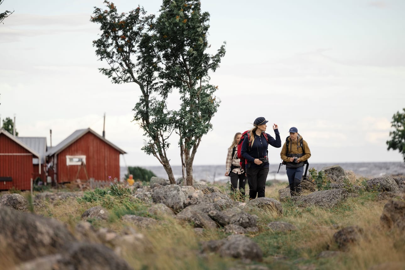 Selkä-Sarvi Kemin kaupungin vesialueella kuuluu Perämeren kansallispuistoon. Se sijaitsee lähellä Suomen ja Ruotsin valtakunnanrajaa, noin 21 kilometriä lounaaseen Kemin keskustasta.