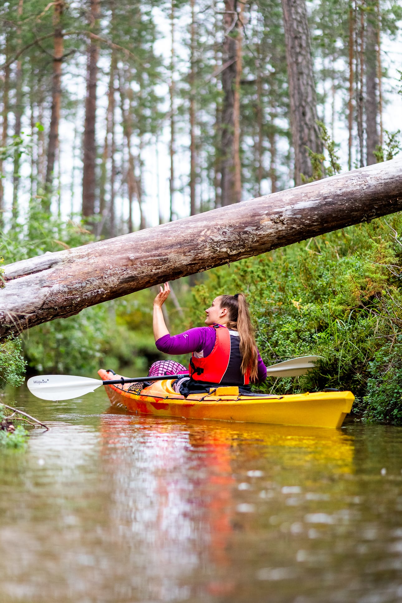 Tänä kesänä Kanerva Jääskeläinen vetää aikuisille suunnatun seuraajamatkan eli seikkailuleirin Kuusamossa. Luvassa on muun muassa koskenlaskua, melontaa ja pyöräilyä.