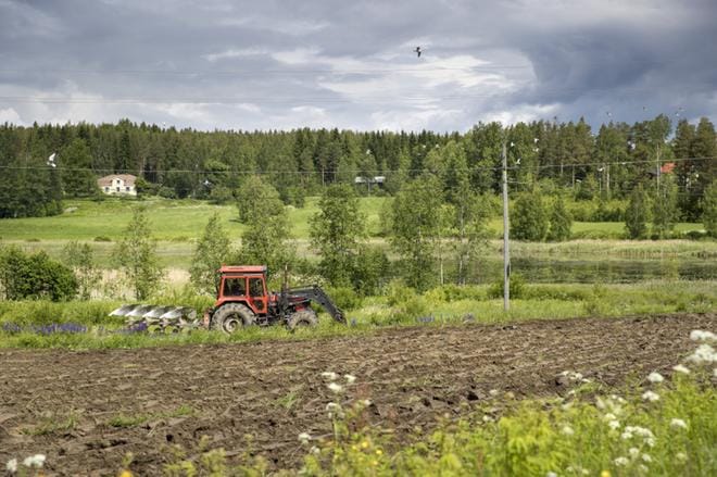 Maataloustukea sai vuonna 2018 yhteensä vähän yli 53 000 tilaa, kertovat Ruokaviraston julkaisemat tukitiedot. Kuvituskuva. KUVA: Elias Lahtinen