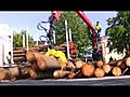 Puunkuormauksen SM-kisat Oulussa