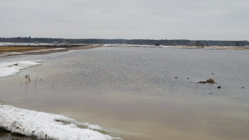 Vesi lainehtii Tyrnävän pelloilla.