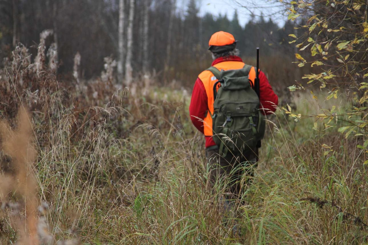 Muutokset metsästyslakiin tulevat voimaan porrastetusti ensi kuun alusta lähtien, viimeinen vuoden 2019 helmikuussa.