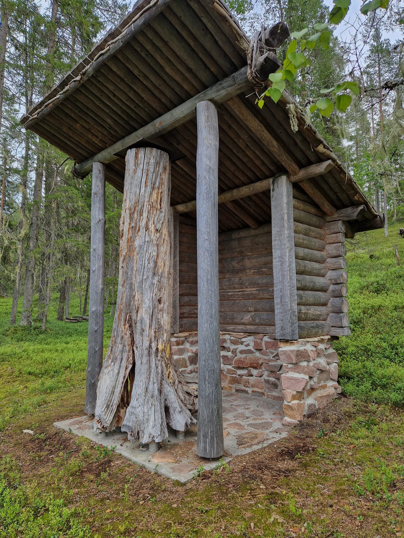Ikivanhalle Satalatva-merkkipuulle on rakennettu katos Porrasjoen varteen.