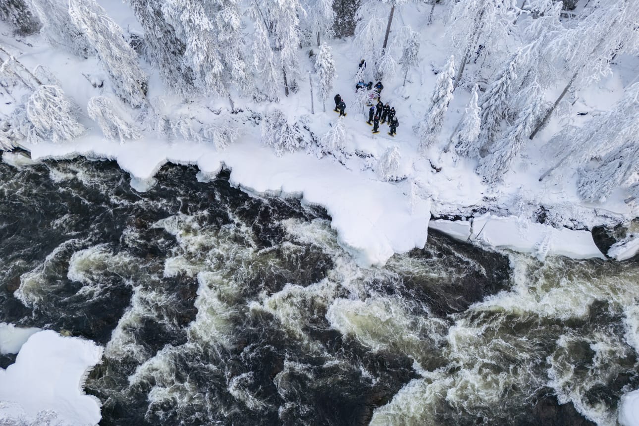 Ruka Adventuresin lumikenkäretkelle osallistuneita matkailijoita Oulangan kansallispuistossa tammikuussa 2026.