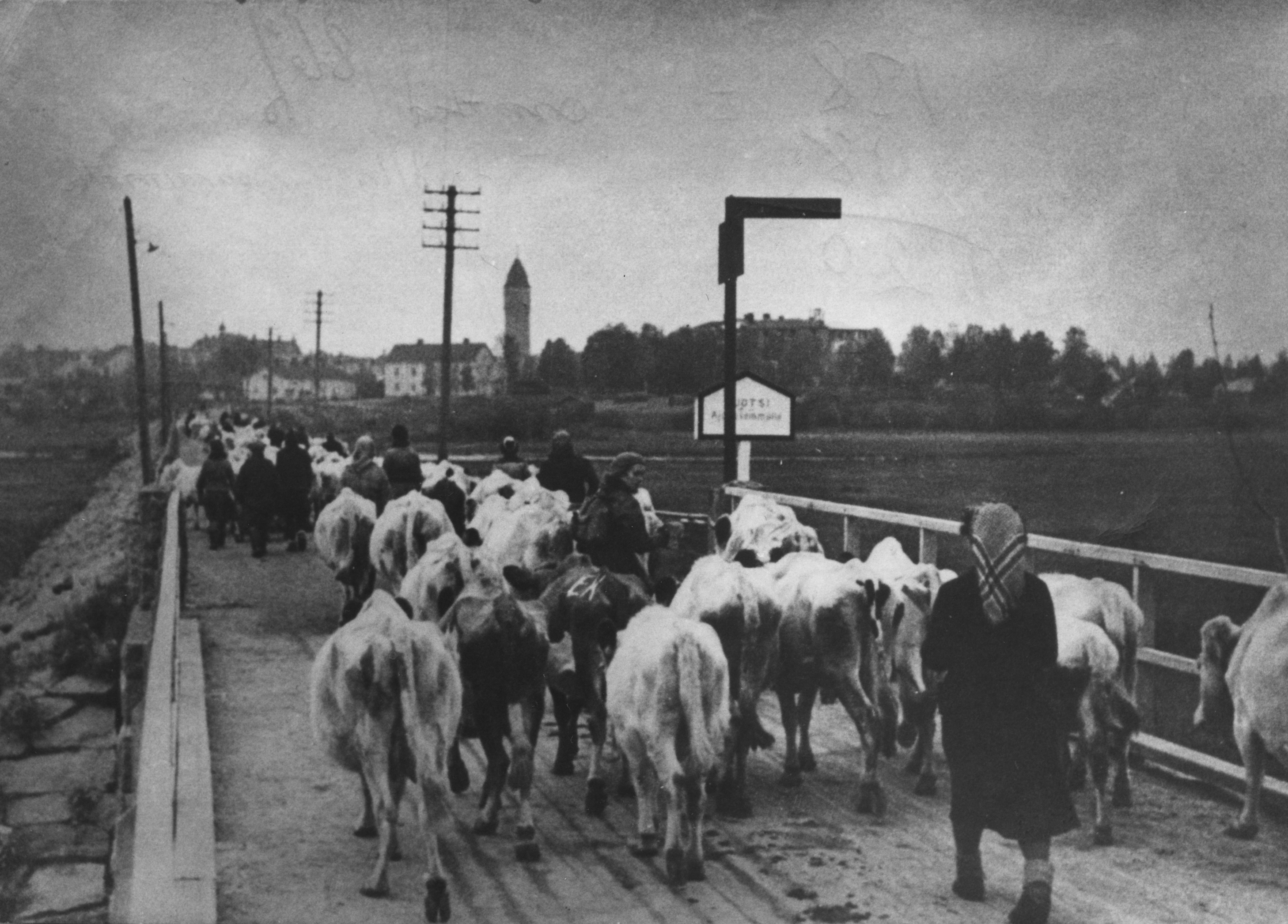 Toivo Laatikainen muistelee evakkoviestin odotusta tammikuussa 1940 – Ilosanoma sai lapsen itkemään: "Eikö me päästäkään lähtemään evakkoon”