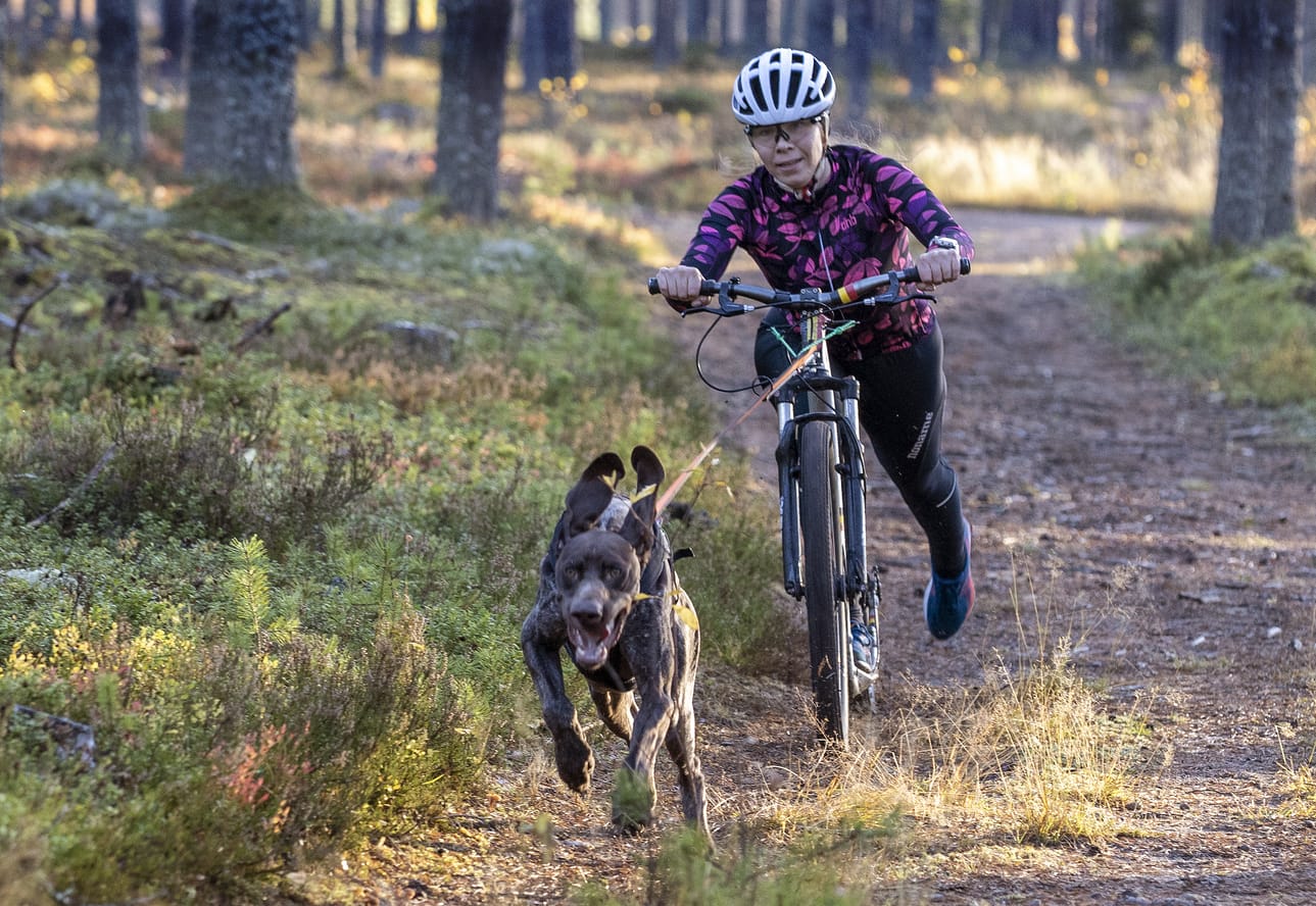 Aktiiviharrastaja Katri Loukusa liikkuu koirien kanssa maastossa ympäri vuoden. Hänen mielestään kaikki mahtuvat reiteille, jos pelisäännöt ovat selvät.