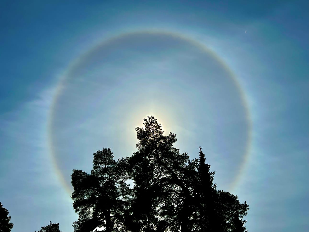 Rantakadulla Vaasassa nähtiin iltapäivällä keskiviikkona huikea haloilmiö. Lukijan kuva.