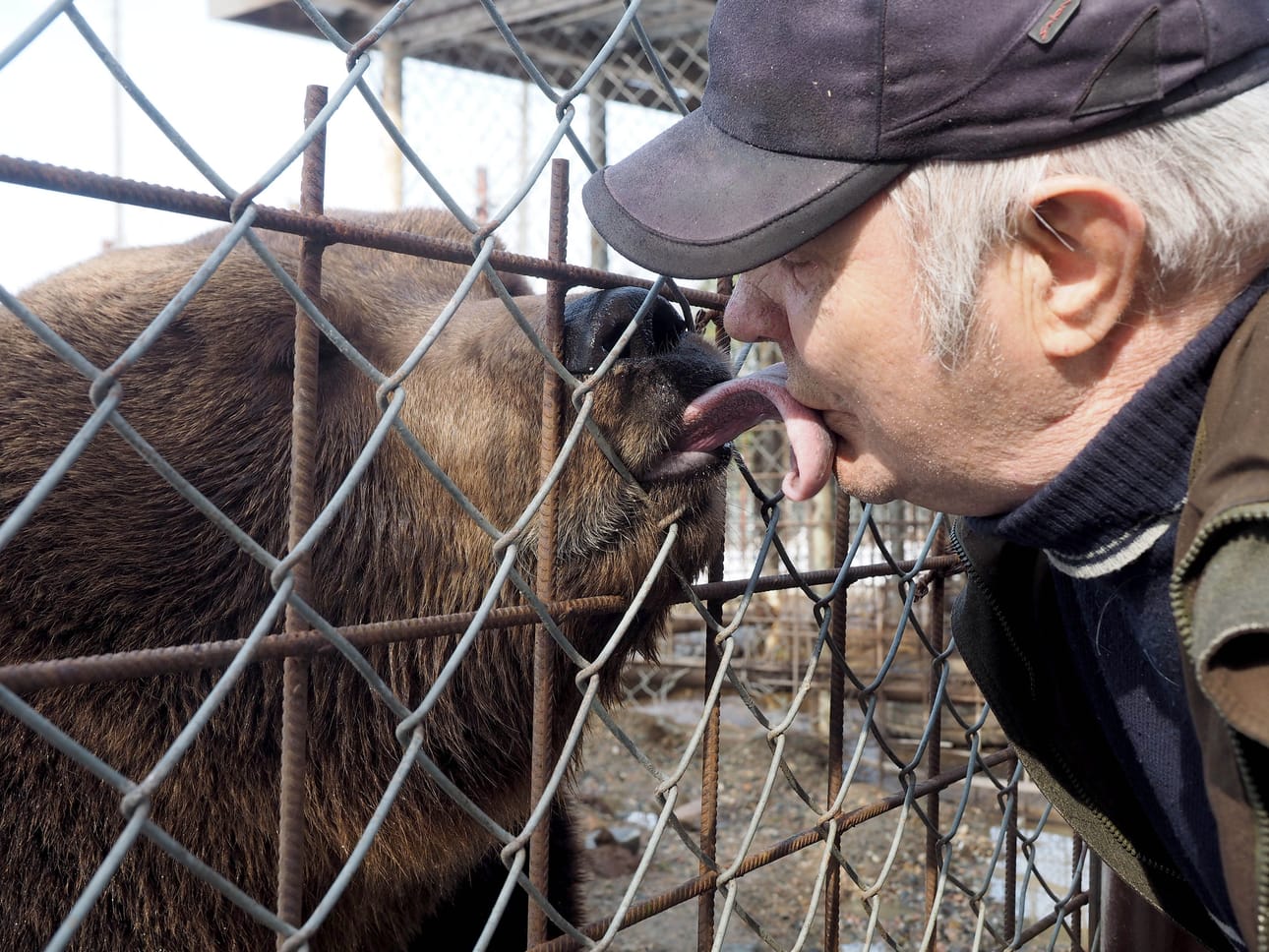 Sulo Karjalainen on hoitanut suurpetokeskuksen eläimiä yli 20 vuoden ajan.