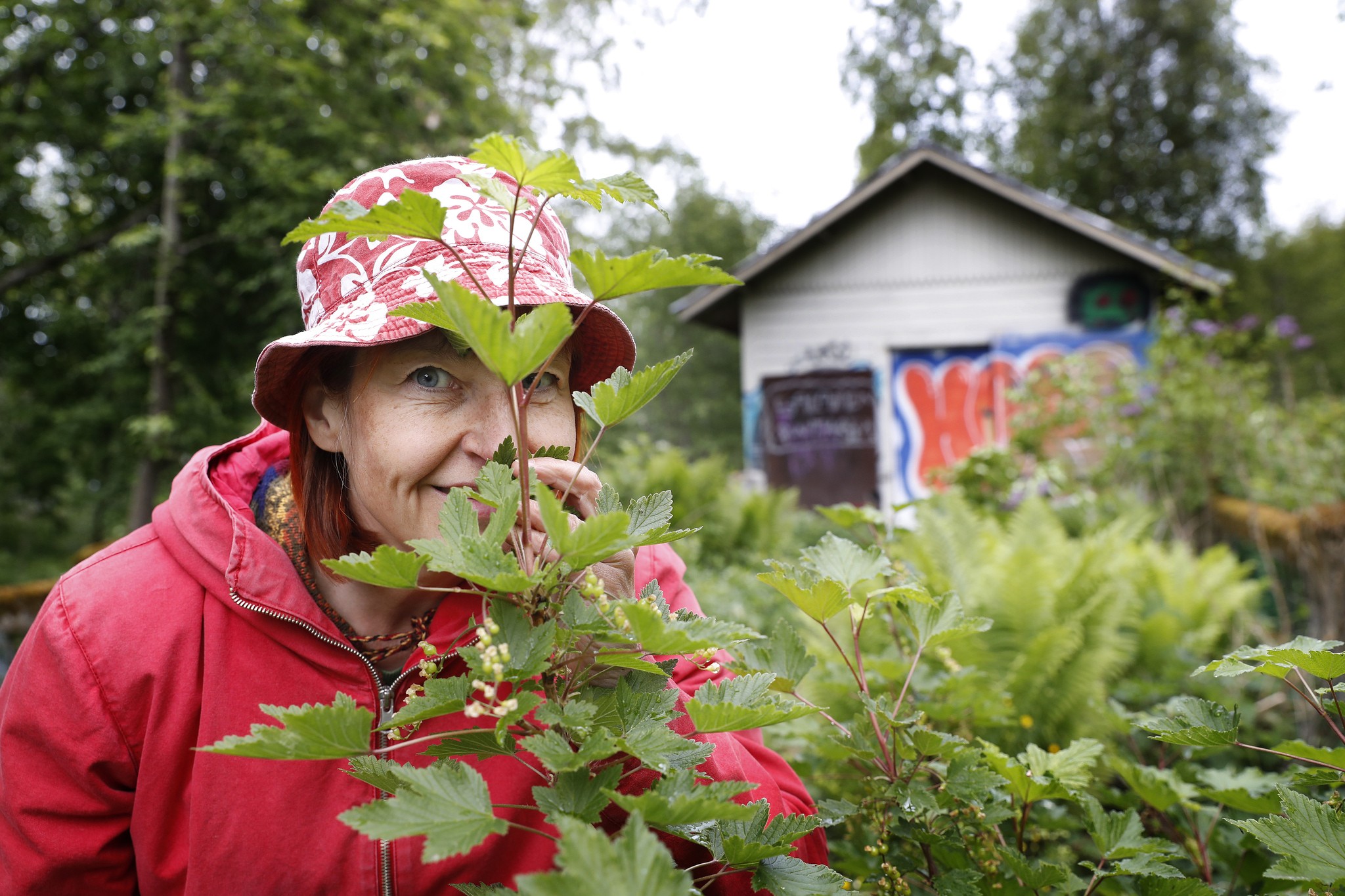 Luonnontuotekouluttaja Annikka Kujala kertoo, että monet tulevat järjestetyille yrttikursseille ja -retkille, kun harrastuksesta halutaan saada enemmän irti.