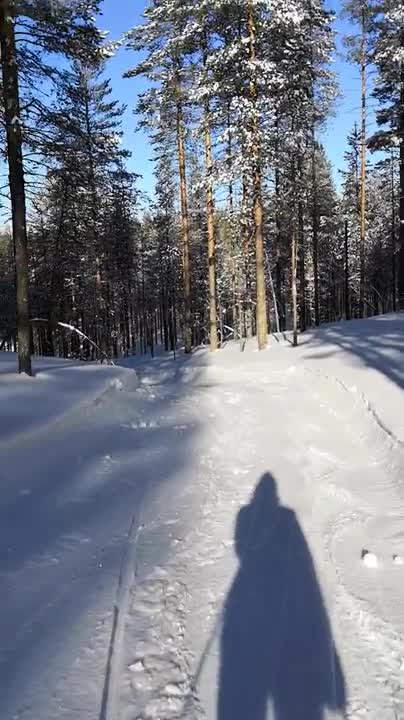 Mäenlaskua suksilla Rokualla