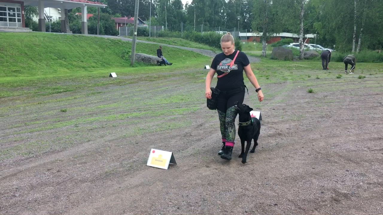 Koulutusillan alkuun valmistautuessa Milla Porkka näytti Tera-koiran kanssa, kuinka yksi illan harjoitusradoista suoritetaan.