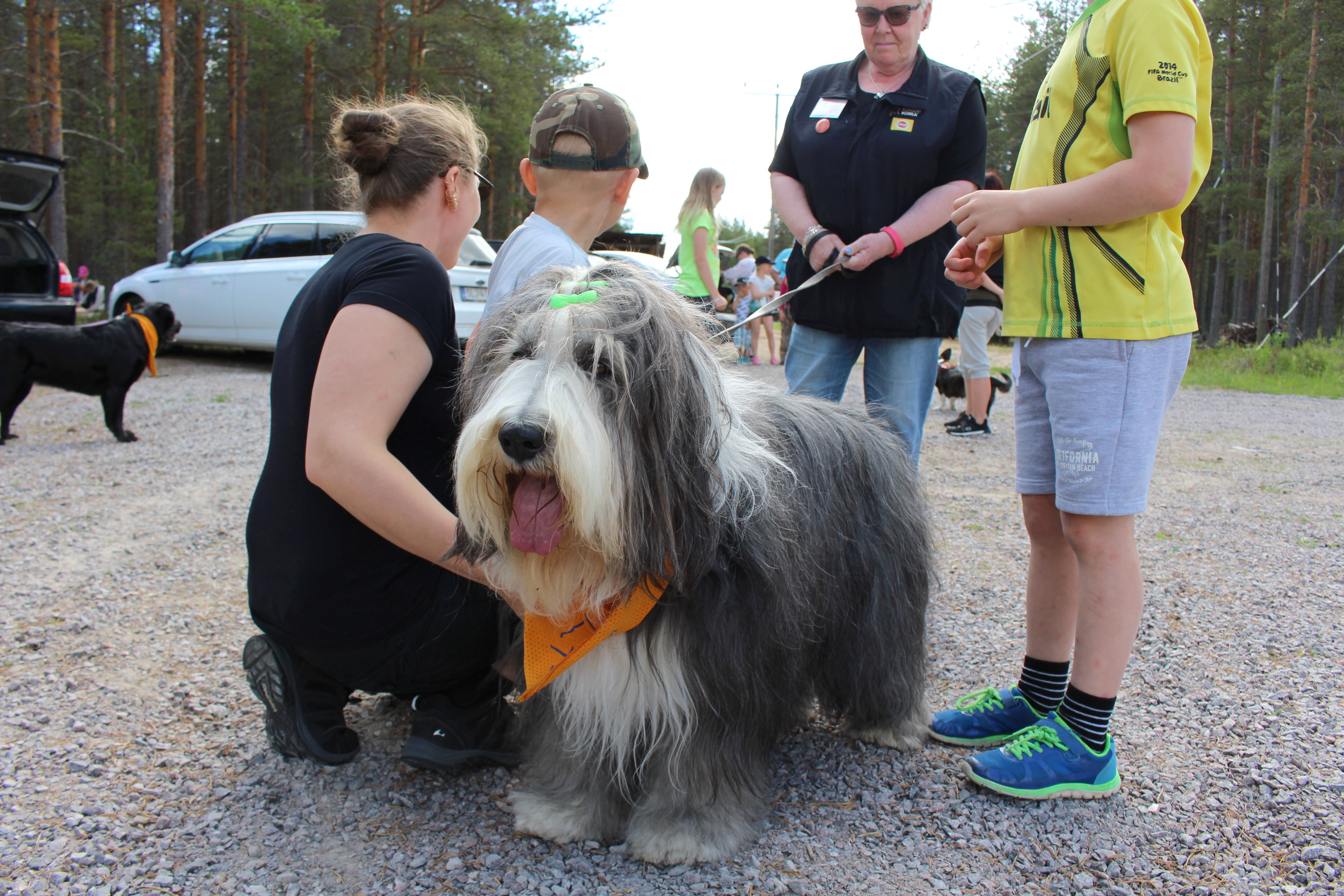Muut keskittyivät rapsutukseen, Ossi sen sijaan poseeraamiseen.